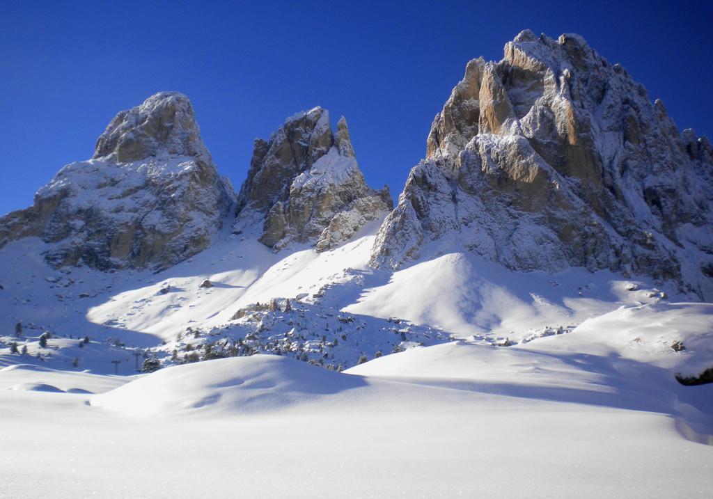 Residence Villa Artic Campitello di Fassa Exterior foto